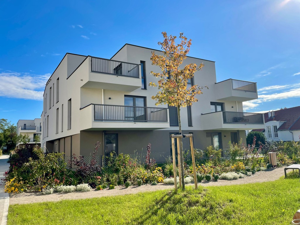 Das Projekt  Leovita © trovato GmbH