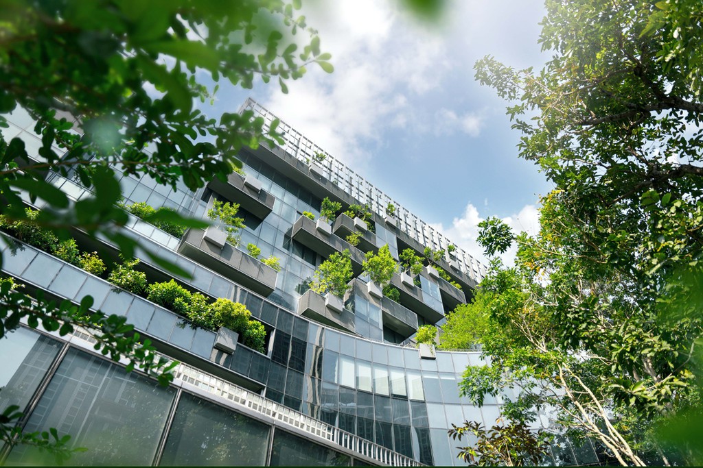 Uni Krems startet Weiterbildungsprogramm zu naturbasierten Lösungen © Adobe Stock