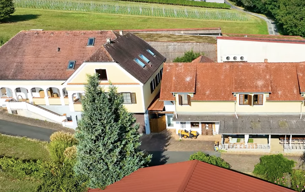 Das Weingut Schützenhof kann ersteigert werden. © Screenshot YouTube